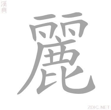 麗字|麗的解释